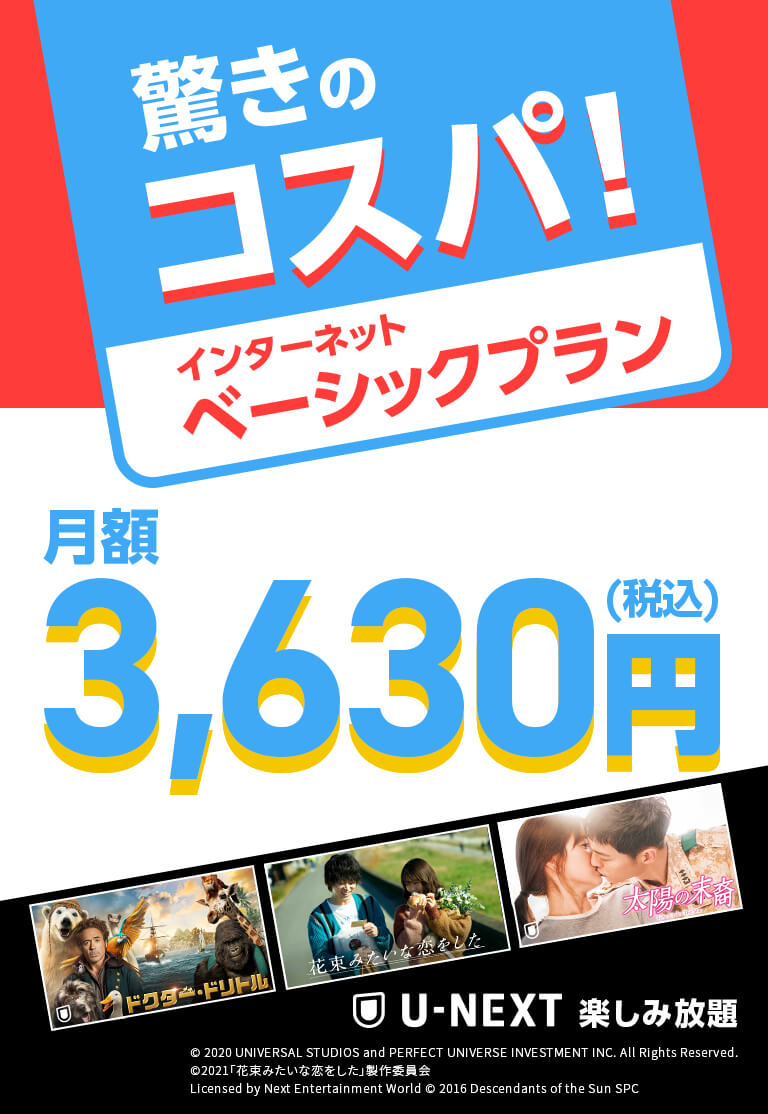驚きのコスパ！インターネットベーシックプラン